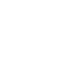 The Twitter icon